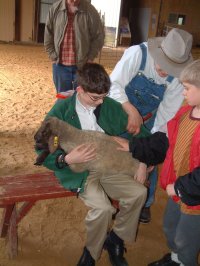 petting barn photo